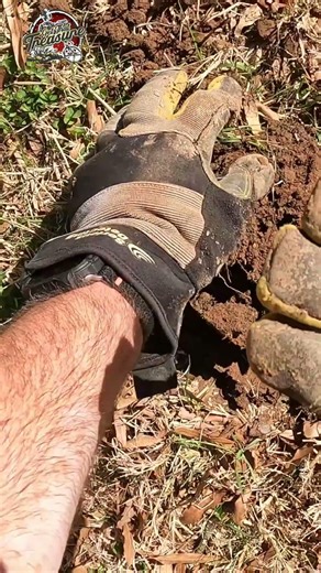 Metal Detector User Finds a Queen! #shorts