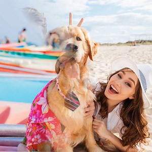 Watch Dog Bow Tie - Bow Ties for Dogs - Bowati Pet on Amazon Live