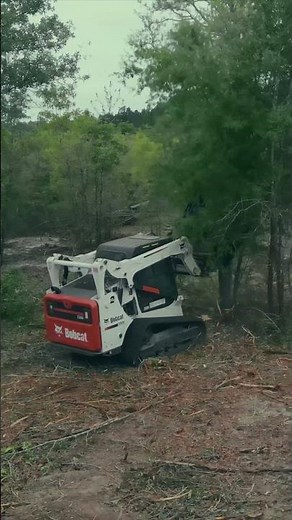 Getting rid of the bad trees