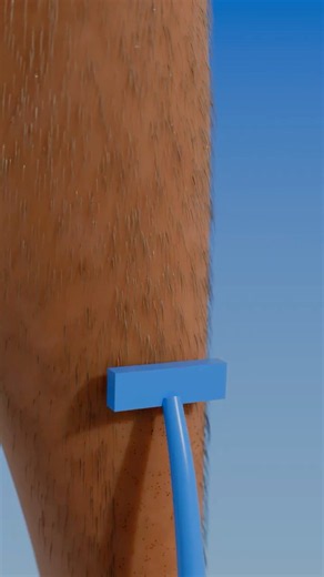 Does Shaving Make Hair Grow Back Thicker? 🪒