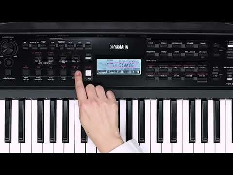 Yamaha Portable Keyboard PSR-E383 / YPT-380 Tutorial Video 5 - Keys To Success