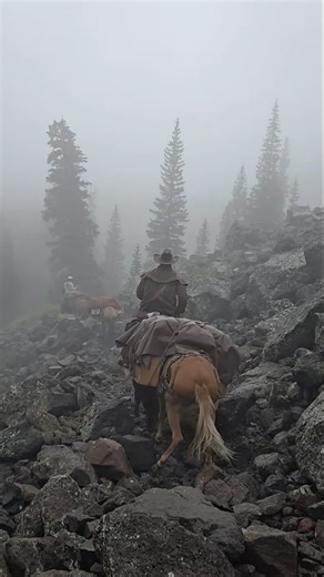 Western Works on Instagram: "Heavy Fog"