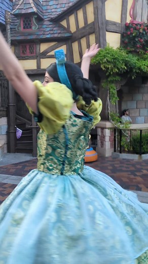 Sibling Rivalry at Disneyland: Drizella vs. Anastasia