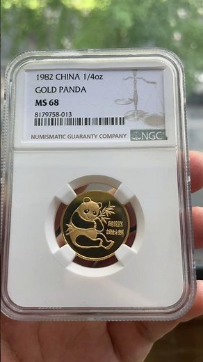 1982 Gold Panda First Edition - The Coin That Started It All 🐼✨ #gold #investing #shorts