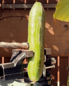 1.3K reactions · 89 comments | Which cabbage should you eat for heart...