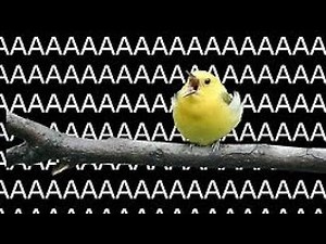 AAAAAAAAAAAAAAAAAAAAAAAAAAAAAAAAAAAAAAAAAAAAAAAAAAAAAAAAAAAAAA