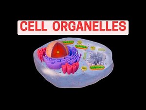 Cell Organelles Explained | Structure & Functions of Cell Organelles | Biology Basics