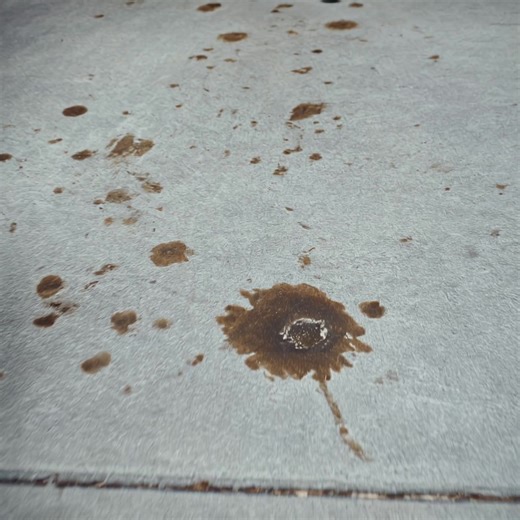 I came home to find my parents had sold my restored 1969 mustang to pay for my sister's "healing trip"—but the reason they gave the buyer turned this into a war. The silence in the garage was deafening. After four months away for work, running on coffee and exhaustion, I came home expecting to see my baby—a 1969 Mustang Fastback I had rebuilt from scratch with my late grandfather. It was the only thing I truly loved. Instead, I found an empty spot of concrete and my father sipping coffee on the