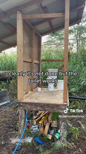 wood: $1000 toilet accessories: $1000 plumbing materials $600 misc charges $500 MY FIRST FLUSHING TOILET IN OVER 5 YEARS… PRICELESS! thank you so much for all of your support. because of YOU. I was ABLE to build myself a TOILET THAT FLUSHES! i cannot thank you enough. please continue to suppirt my little farm and i will continue to bless yall with the best seeds in the world! link in my bio for seed info! thank you thank you thank you! im so proud #treehousechicks #fyp #foryou #toilet #flushingt