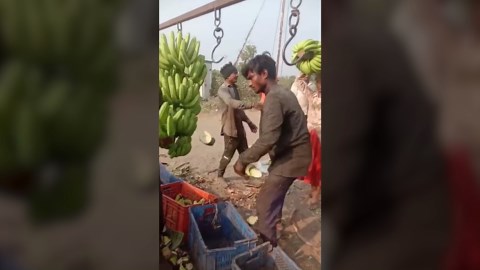 Cutting Techniques Mastery