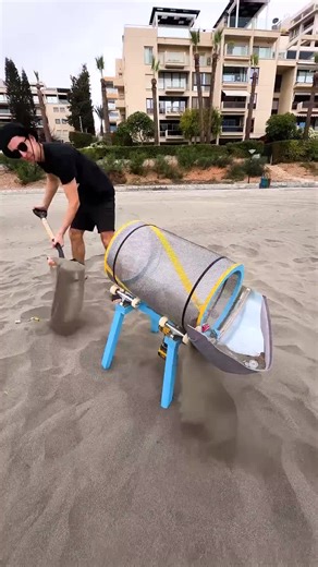 British Celebrities and the Royal Family: Insights