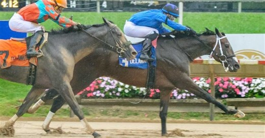 Cooke Creek Leads Competitive Field In Queens County