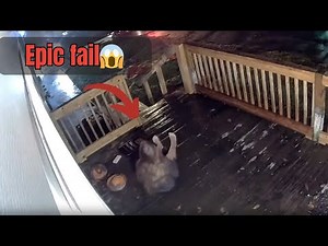 Slippery Porch Mishap: Mom's Hilarious Fall Caught on Camera || WooGlobe