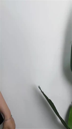 50% OFF !! GET YOURS NOW!!