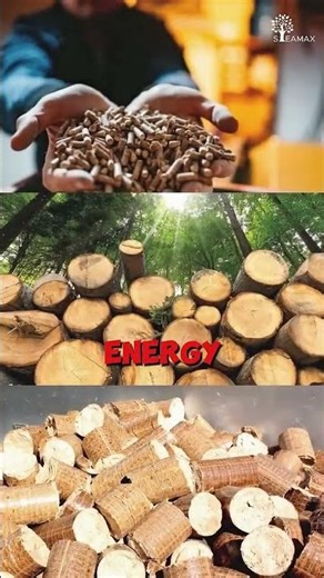 Circular Economy in Practice – Biomass Energy Solutions for Waste Reduction