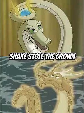 The Dragon and snake