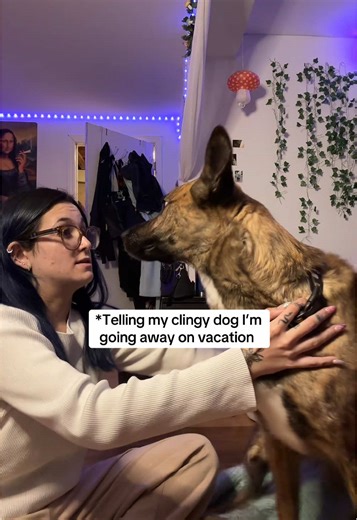 Clingy Dog's Heartfelt Reaction to Owner Leaving