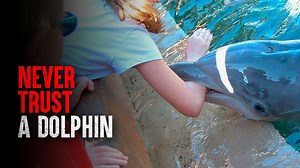 Surviving a Dolphin Attack: What You Didn’t Know