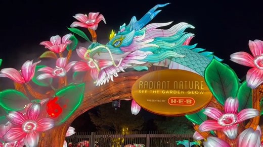 Will you be among the first to step through this year's dramatic entry gate at Radiant Nature, presented by H-E-B? There is still time to get tickets for all three nights of opening weekend -- Friday, Nov. 14, Saturday, Nov. 15, and/or Sunday, Nov. 16 -- at www.hbg.org/radiantnature. And if you choose Sunday, Nov. 16, you will also be among the first to take advantage of our new $2 per ticket discount offer for ALL Sunday nights throughout the run (offer good on limited Thursday nights, as well)