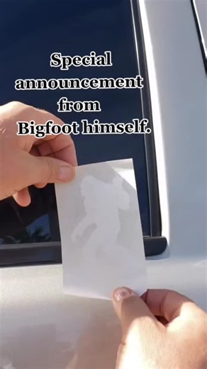 Stickitcustoms on Instagram: "Decal Purchase link on my Instagram page Etsy store stickitcustoms13 #vinyldecals #customdecals #vinylstickers #decals #sticker #stickershop #smallbusiness #supportsmallbusiness #custommade #design #graphicdesign #carstickers #vinylgraphics #cricut #walldecals #customvinyl #etsyshop #shoplocal #decalsforcar #decalsticker #stickitcustoms #youpickitwestickit"