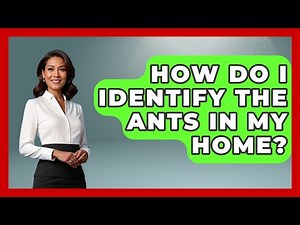How Do I Identify The Ants In My Home? - Insects and Invaders