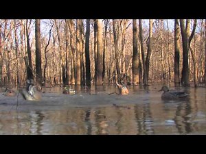 War Eagle Boats Hunting Commercial