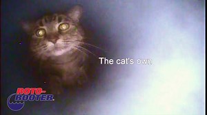 19K views · 240 reactions | Using experience and technology, service technicians from Roto-Rooter's Eugene, Oregon location recently rescued this big kitty cat from an underground pipe. He is reunited with his owners and is doing well. | Roto-Rooter | Facebook