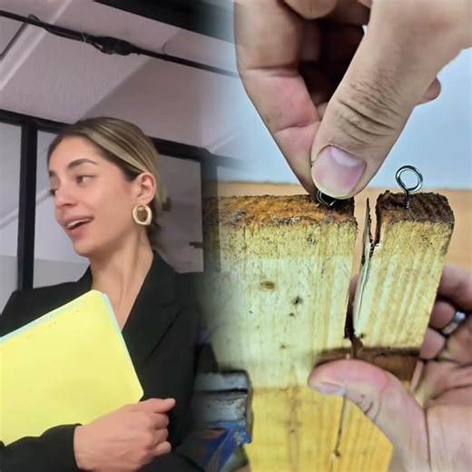 @Emmanuel Colli nos representa 😭 #confiabogado #derecholaboral #despidoinjustificado #despido