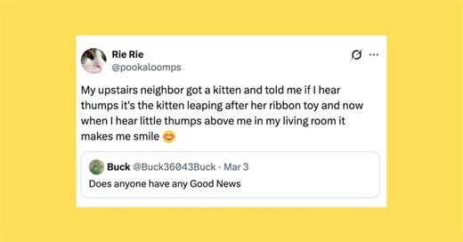 29 Of The Funniest Posts About Cats And Dogs This Week (Feb. 28-March 6)