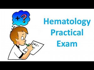 Hematology Practical Exam