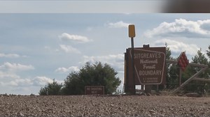 More than a dozen wild horses shot and killed in Arizona