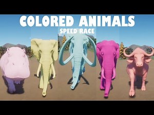Colored Animals Speed Races in Planet Zoo | Woolly Mammoth, Hippo, Elephant, Buffalo, Rhino, Tiger