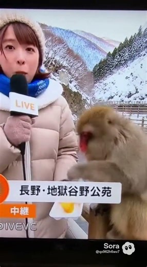 放送事故！食べ物を取られたと思ったら…