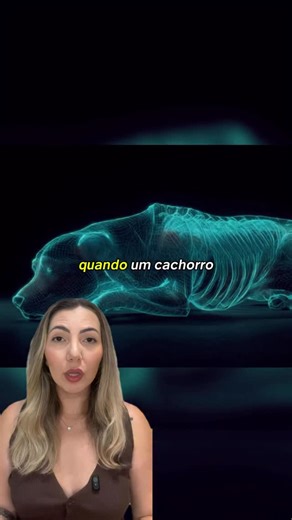 Beatriz Affonso on Instagram: "O último gesto de amor de um cachorro"