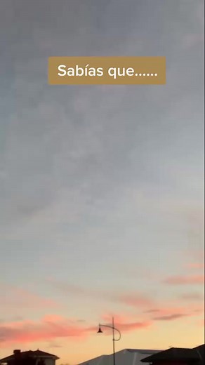 🦋🍁#fouryou#tmblr#parati#datoscuriosos