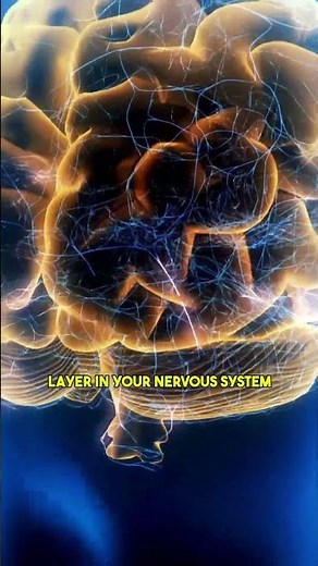 Shocking Theory! Science May Have Proven the Quantum Mind Theory