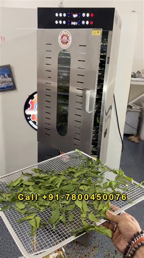 48 Tray Dehydrator Demo | Fruits & Vegetables Drying | Powder Business Low Investment Business 2026