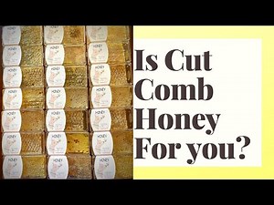 Harvesting Honey: Cut Comb Honey Beginner Beekeeper Episode 29