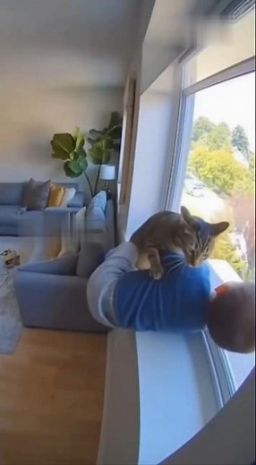 4 Times Cats Saved the Day from Big Disasters! 🐱💪😱 | Real Hero Cats Compilation #petrescue