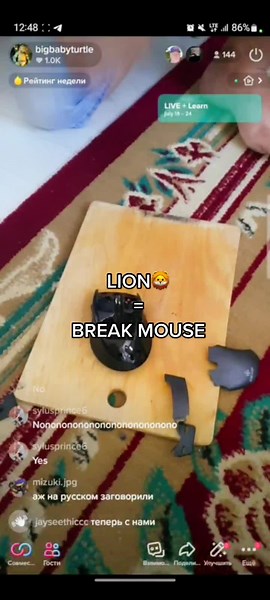 Disassembling a Computer Mouse Step-by-Step