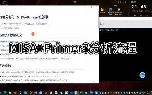 SSR分子标记开发：MISA Primer3 毕业利器