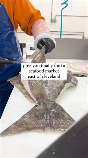 22 reactions | POV: You finally find a local seafood market east of cleveland! 呂 Come check out our market in Mentor! | Euclid Fish Company | Facebook