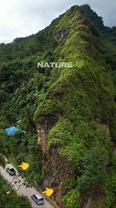 6.7K views · 201 reactions | Nature  | Ronix 24 | Facebook