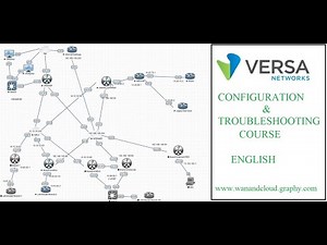Show commands system and interfaces for Versa SDWAN