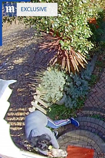 2.3M views · 20K reactions | This homeowner caught an Amazon delivery driver walking off with his cat! | Daily Mail Video | Facebook