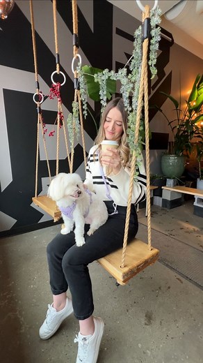 She’s living a ruff life 😅 Have you ever taken your pup to a dog friendly cafe?! ☕️ Wanderwag, Tote bed, Travel, Dog travel, Adventure, Dog gear, Dog friendly, Dog mom, Pet friendly, Explore, Maltese, Morkie, Fur child, Dog humor #nycdogs #ladogs #torontodogs #yeg | Wanderwag
