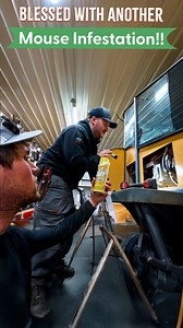 Blessed With Another Mouse Infestation!! | Larson Farms