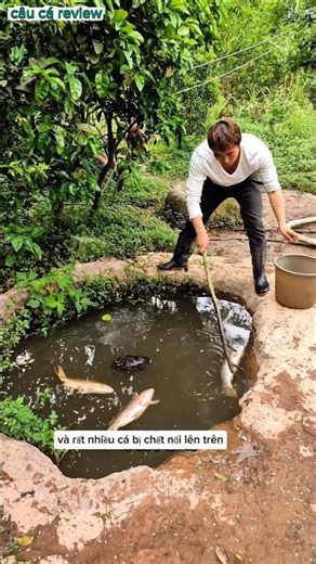 Guy Drains Ancient Well to Catch Fish and Here’s What Happened #fishing