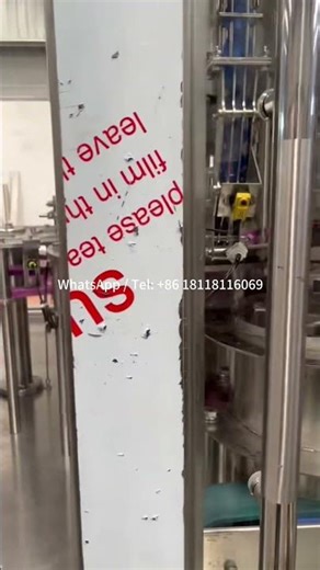 12000BPH Automatic Water Rinsing Filling Capping Machine