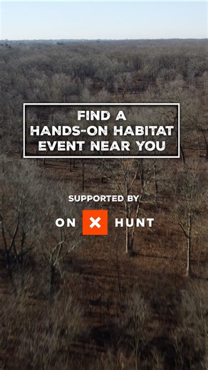3.8K views · 32 reactions | It's Hands-On Habitat Month, and PF & QF members and volunteers are getting their hands dirty to create better habitat for the future. Head to the link below now to find a workday near you to learn about your local chapter, engage your community, have fun, and move the needle for our mission of upland habitat conservation! Pheasantsforever.org/handsonhabitat Hands-On Habitat Month is proudly supported by onX Hunt | Pheasants Forever | Facebook